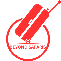 BEYOND SAFARIS